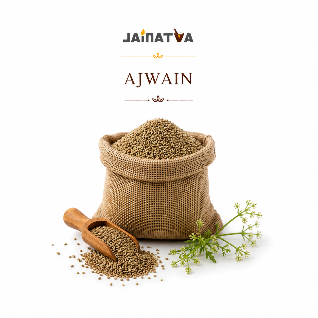 Premium Natural Ajwain – Pure Carom Seeds
